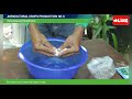 Seed Preparation and Stratification Techniques
