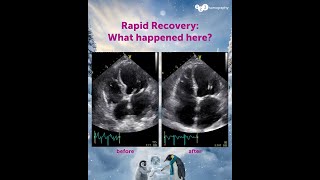 Today, we have another Christmas miracle for you 🎄