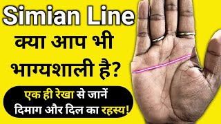 Simian Line in Palmistry: क्या आप भी भाग्यशाली हैं? | एक ही रेखा से जानें दिमाग और दिल का रहस्य!