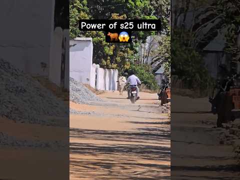 Power of Samsung Galaxy S25 Ultra 20x zooming 🐂😱 #Samsung #Galaxy #Zoom #Technology #shorts
