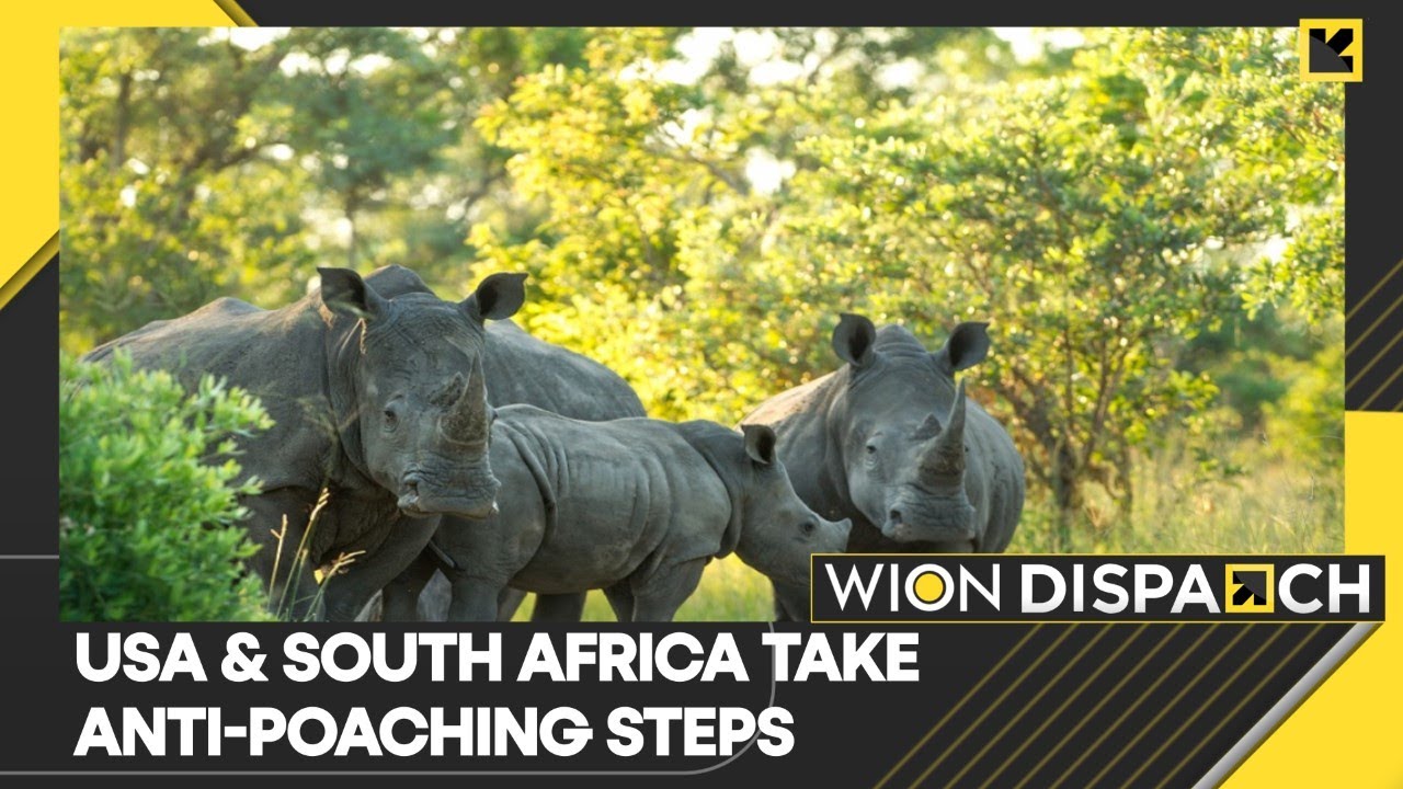 WION Dispatch: US announces anti-poaching task force with South Africa