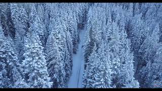 1 Hour Of Classical Music for Winter
