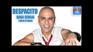 BABA SEHGAL - Hindi DESPACITO - Pinch n Punch