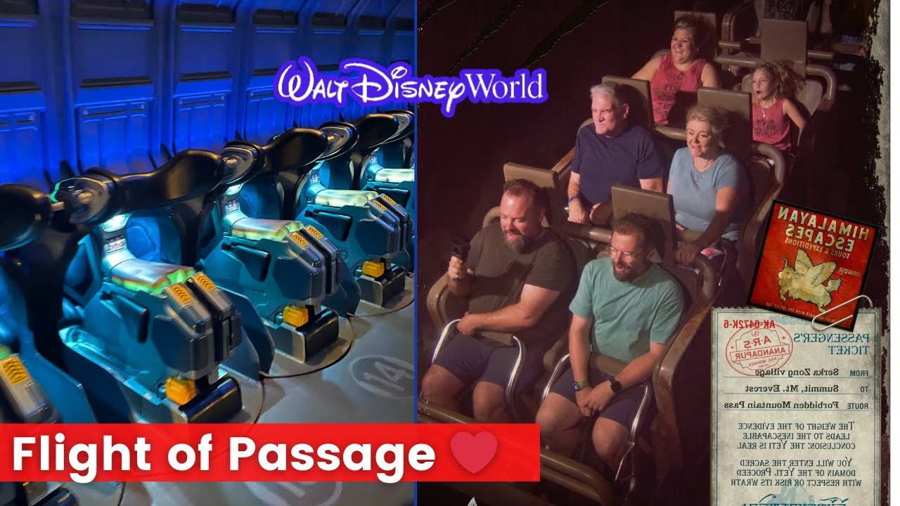Une journée à Disney's Animal Kingdom - Avatar Flight Of Passage - Expedition Everest