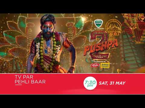 Pushpa 2: The Rule | TV Par Pehli Baar | 31st May, Sat, 7:30 PM | Promo | Zee Cinema