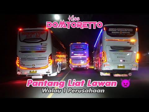 Supir Lain Geleng Geleng Kepala Liat Kelakuan BUS DOMTORETTO , PANTANG JUMPA LAWAN LANGSUNG KEJAR