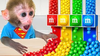 Monkey Baby Bon Bon : The Dramatic and Emotional Journey to Find the Lost Baby