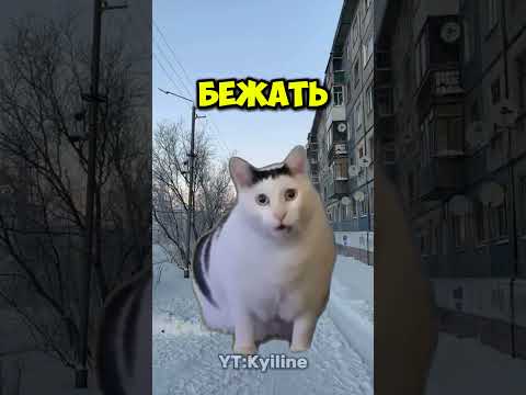Так вот для чего нужна школа...#мем#котики#рекомендации#shorts