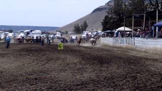 2015 PiUmeSha Wild Horse Race 1st section