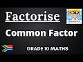 Factorization Concepts and Techniques