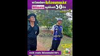 จากใบถ่ายฟื้นสวยดอกมาแล้ว80% ปีนี้ตั้งเป้าไม่ต่ำกว่า 50ตัน สวนพี่ปรีชา วังหว้า ระยอง