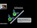 Fundamentals of Matter and Life