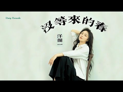 沒等來的春-洋瀾一-演唱 KARAOKE