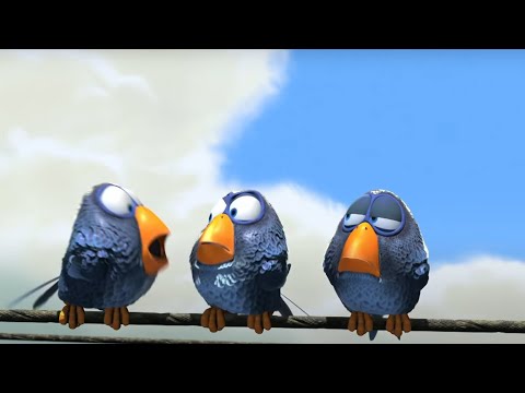 Why Birds Perch Unharmed on Electrical Wires? | Cari Channel