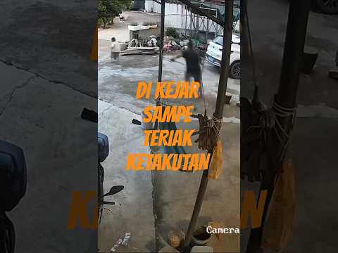 Di kejar gak tuh #shorts #funnyshorts #funny #fyp #trending