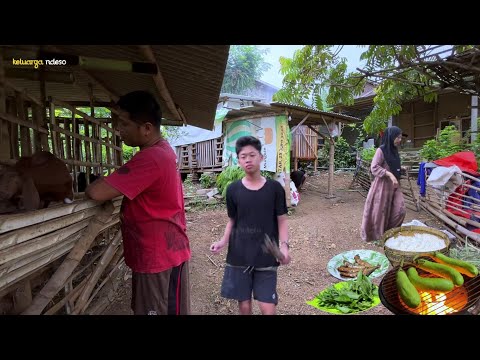 masak menu gagal diet, anak dan suami sampai nambah lagi, pecel terong, ikan asin, masakan desa