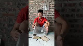 Khoảnh khắc nổi bật từ 0:00 đến 0:54 trong Instructions for making mouse traps at home from reusing