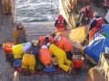 Studying Ocean Organisms and Sampling