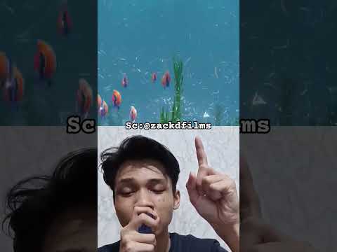 kuku bisa membentuk sebuah pulau #water #lake #ocean #fishing #reaction au