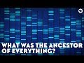 Origins of Life and LUCA