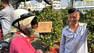 29 Tết Cây Tắc hạ giá, tranh nhau mua cho bỏ ghét