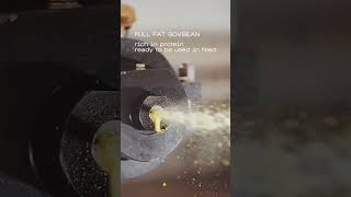 Magic of EXTRUSION  #extrusions #bronto #machine