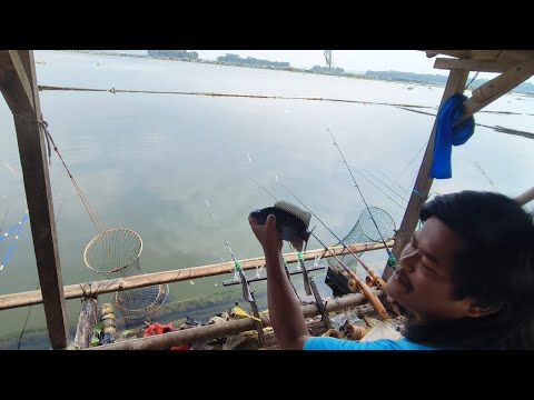 MANCING CIRATA BIKIN CAPE NARIKIN IKAN