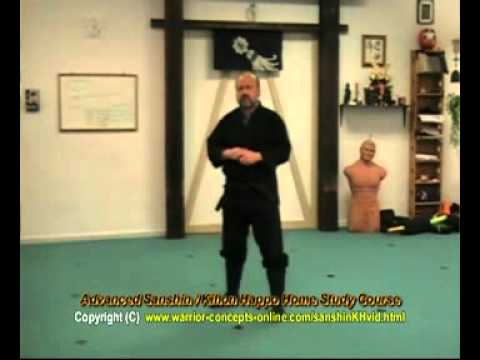 Learn Ninjutsu Online - The Sanshin no Kata - Intro - YouTube