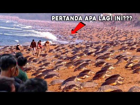 MENJELANG WAKTU BERBUKA PUASA, JUTAAN MAKHLUK LAUT MENDADAK MUNCUL SERBU PANTAI, WARGA SAMPAI KAGET