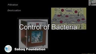 Control of Bacteria