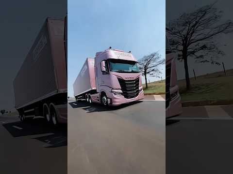 💥The longest journey of a girl truck driver from Japan ?