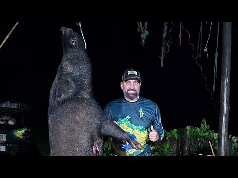 Trailer do Canil do Caçador - O resumo de uma Caçada de Javali