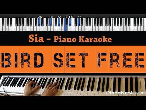 Sia – Bird Set Free – Piano Karaoke / Sing Along / Cover with Lyrics