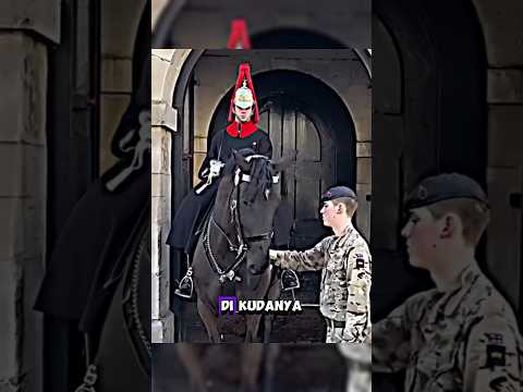 Kings Guard terdiam dikudanya saat dipegang oleh tentara #shortvideo #shorts