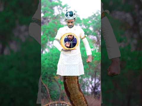 नागराज vs नागमणि #nagin #funnyvideo #funny #shorts