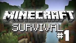 Minecraft bölüm 1