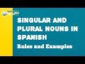 Mastering Singular and Plural Nouns in Spanish
