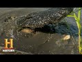 Frog Catching Adventures in the Bayou