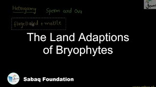 The Land Adaptions of Bryophytes