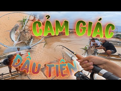 Dắt Khách Đi Trãi Nghiệm Trên Bè Và Pha Chạm Mặt Lần Đầu Tiên Quá Hừng | Thanh Nhã TV