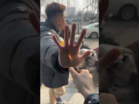Shopkeer took best revenge! #shortvideo