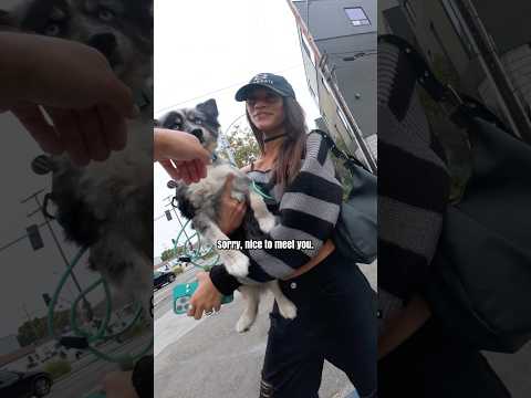 Can I take a photo of U and your dog ๐? #dog #doglover #photography
