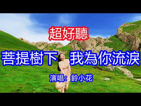 太好聽了，鈴小花超火傷感情歌《菩提樹下我為你流淚》，求佛賜我一杯忘情水，一片真情錯付了誰！讓你一聽就忘不掉的催淚神曲，唱的撕心裂肺，聽得痛哭流涕！青海德令哈風景！傷感情歌！療癒情歌！