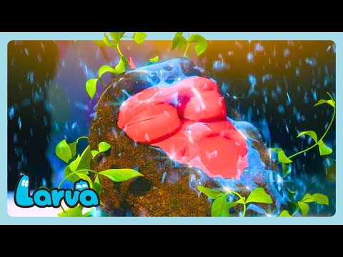 Larva - La sfilata di moda | Cartoni animati per bambini | WildBrain Italiano
