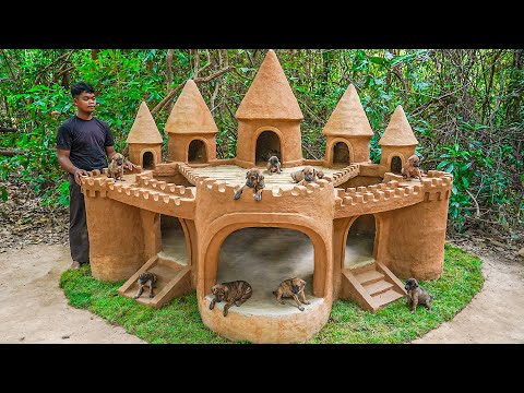 Dog rescue and build Castle Dog House - Build House for Puppies