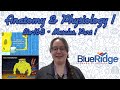 Muscle Physiology and Function Concepts