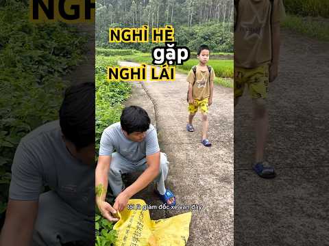 BÀ ƠI GIÁM ĐỐC VAN MANG DÉP #shortvideo