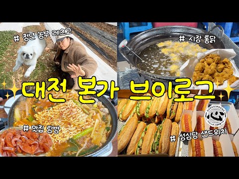 ❤️‍🔥스트레스와 힐링을 오가는 지킬앤하이드 본가브이로그❤️‍🔥 농사일 돕기🌱 • 성심당 샌드위치🥪 • 김치만두 무한생성🥟 • 시장 통닭 • 추억상자 오픈📦 • 노견산책🐶✨