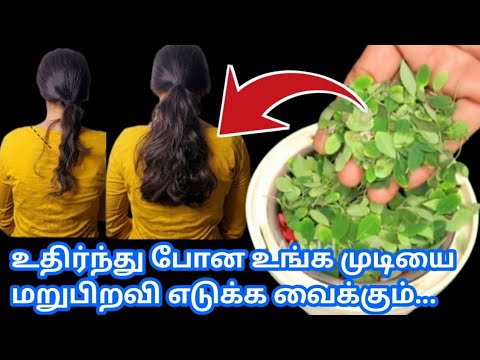 🌺மளமளன்னு கொட்டிய உங்க முடி🌿 கிடு கிடுன்னு ஒரே மாசத்துல வளரணுமா.../ Hair growth tips