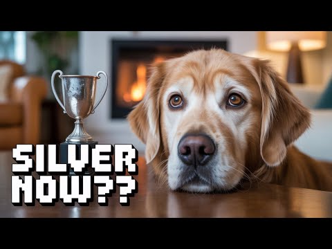 A golden retriever gets demoted 🤣 funniest dogs of the week
